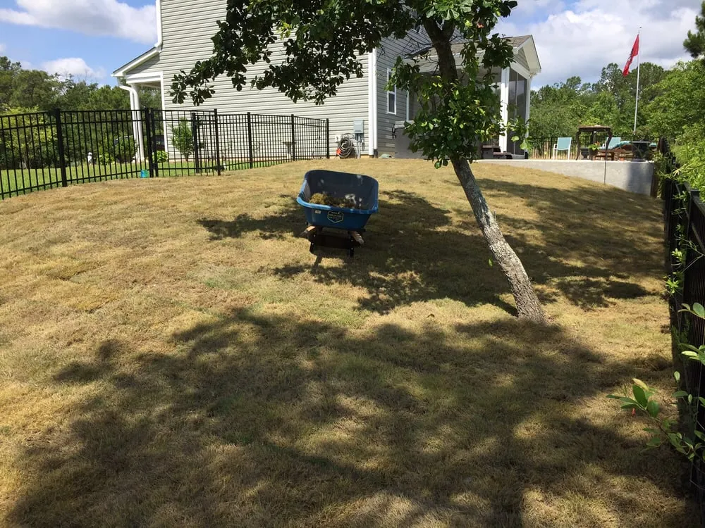 Professional yard maintenance in Holly Ridge, NC by Coastline Concepts Landscaping