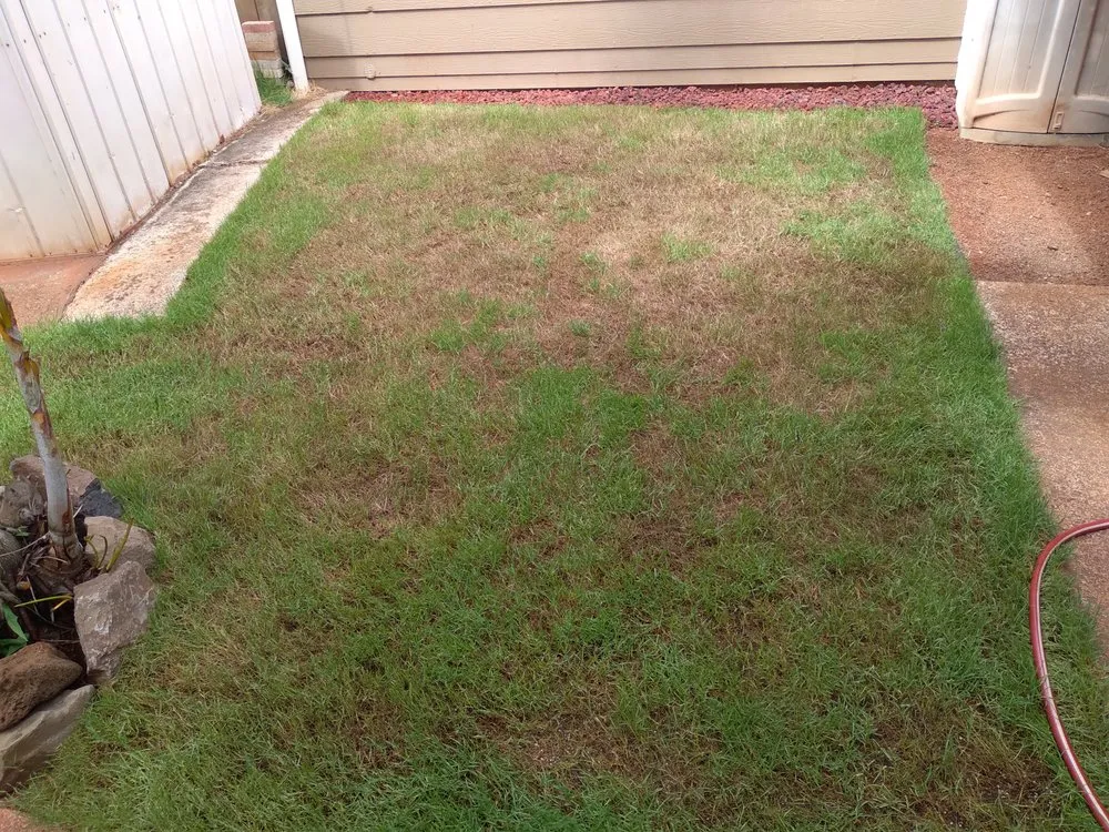 Expert landscaping services experts serving Kahuku, HI - Coastline Construction and Landscape