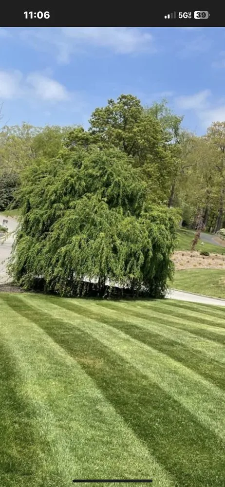 Professional residential landscaping experts serving Hampstead, NC - Coastline Cuts Lawn Care