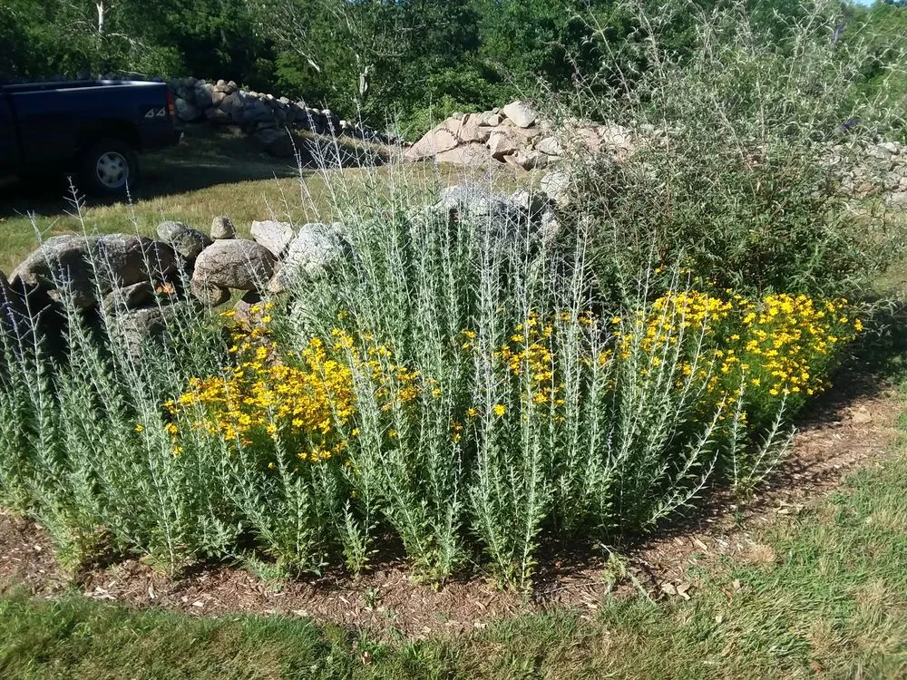 Professional landscaping services for residential properties in Charlestown, RI by Coastline Landscapes