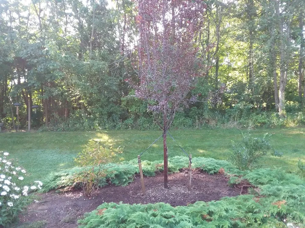 Expert landscaping services in Charlestown, RI by Coastline Landscapes