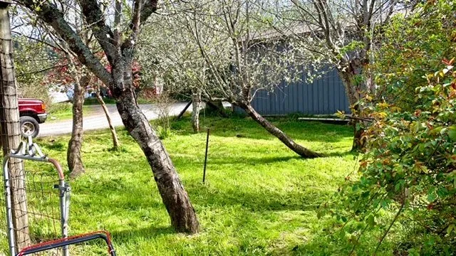 Custom outdoor landscaping for residential properties across Gold Beach, OR - Coastline Landscaping