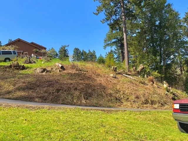 Trusted yard cleanup service experts serving Gold Beach, OR - Coastline Landscaping