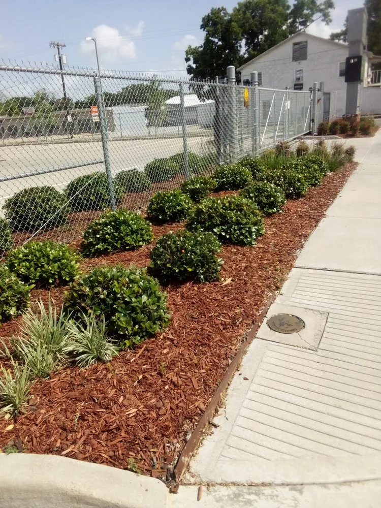 Local landscape design in Lafayette, LA by Coastline Landscaping