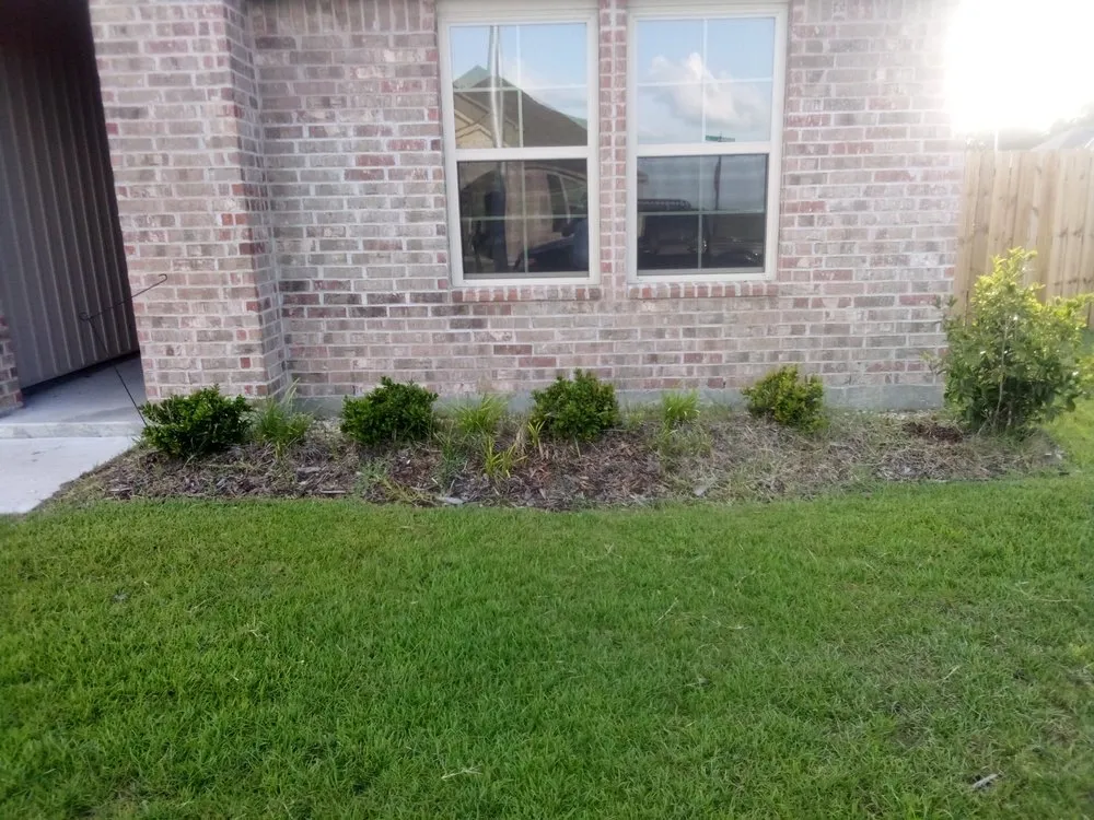 Affordable residential landscaping experts serving Lafayette, LA - Coastline Landscaping