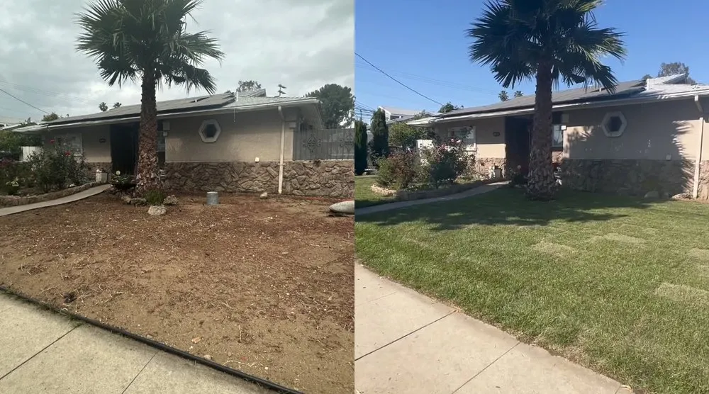 Trusted lawn mowing service in San Fernando Valley, CA - Coastline Landscaping