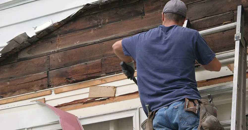 Reliable landscape design for beautiful yards in Powells Point, NC by Coastline Property Services Construction & Remodeling