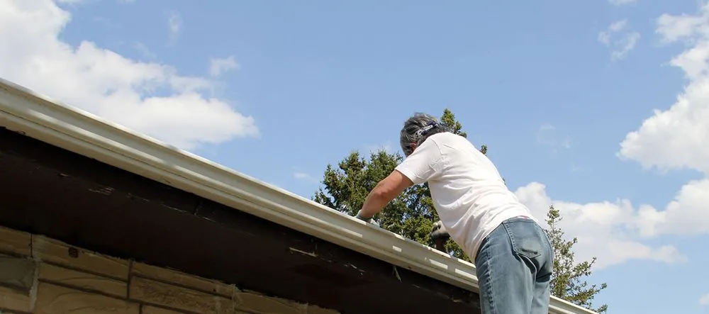 Trusted garden landscaping in Powells Point, NC - Coastline Property Services Construction & Remodeling