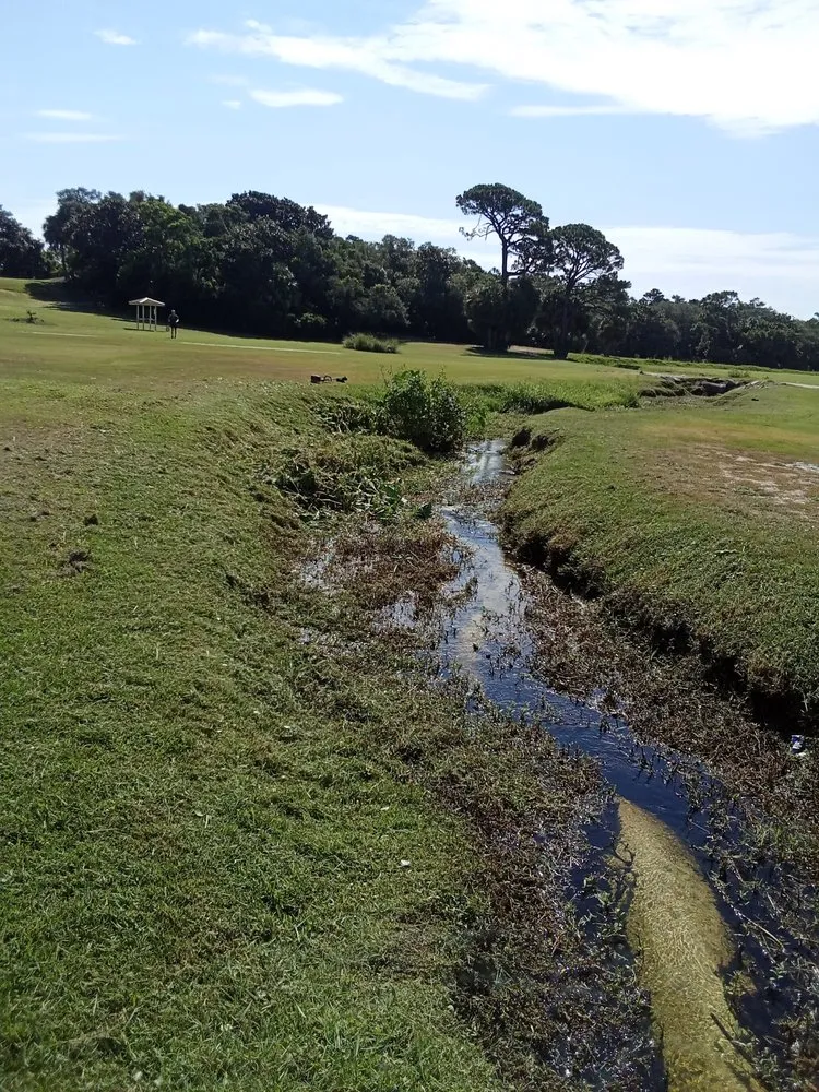 Local outdoor landscaping for beautiful yards in Panama City, FL by Coastline Weed Eating Service