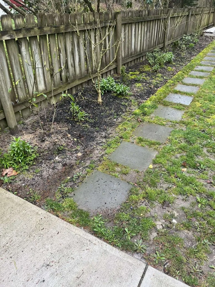 Reliable lawn care service for residential properties in Georgetown, DE by Coastwood Landscaping