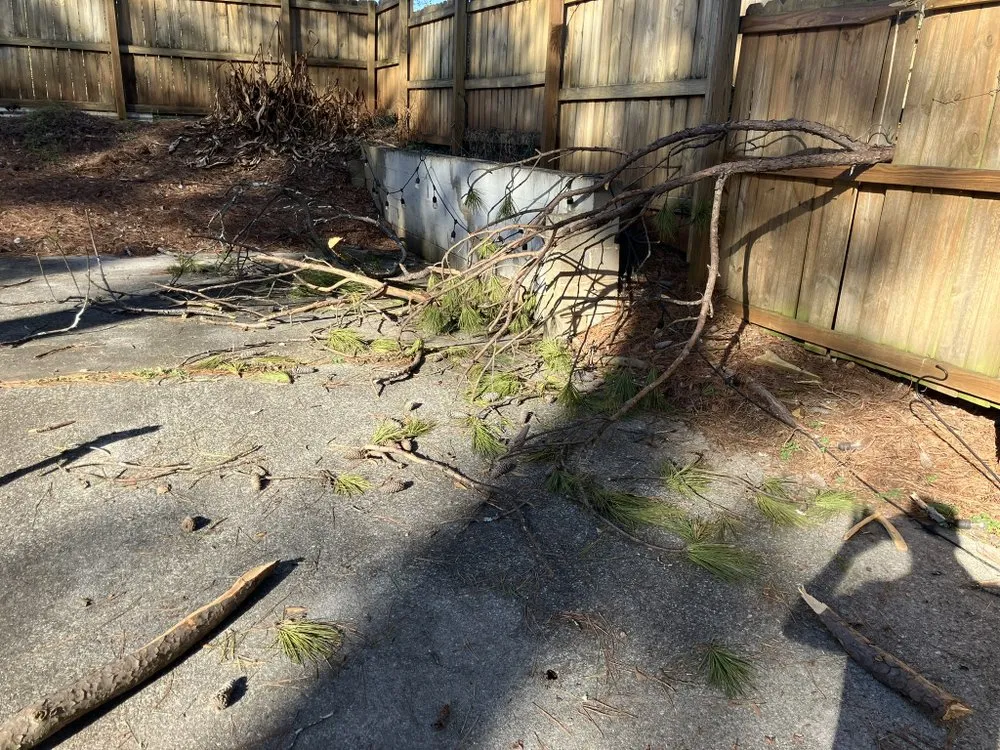 Reliable lawn care service in Tucker, GA - Coates Cutz Complete Lawn Care