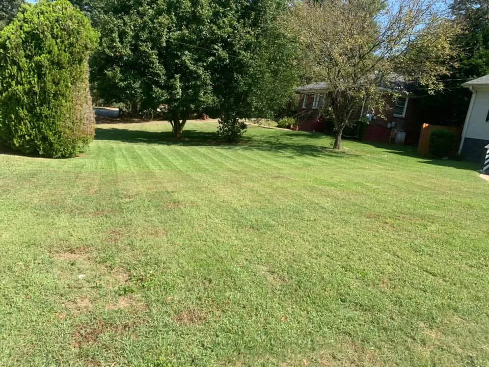 Affordable lawn care service experts serving Tucker, GA - Coates Cutz Complete Lawn Care