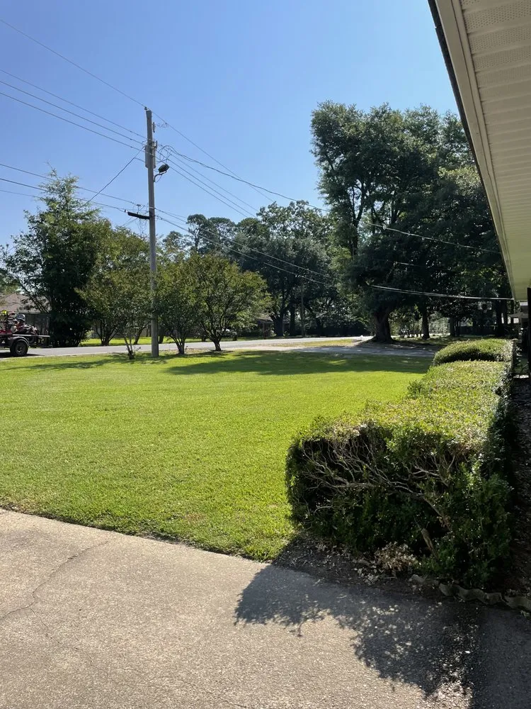 Professional lawn care service for homes across West Monroe, LA - Coats Lawn Service