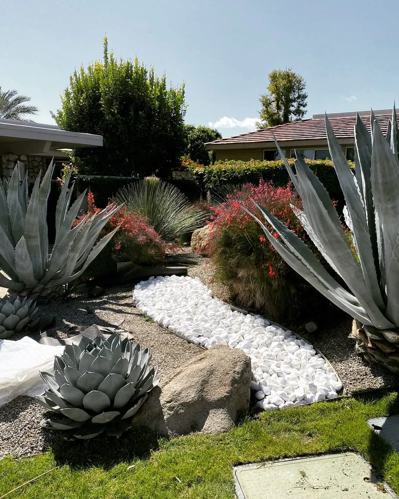 Affordable yard cleanup service experts serving Indio, CA - Cobano Landscape & Irrigation
