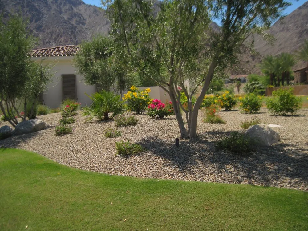 Custom yard cleanup service in Indio, CA - Cobano Landscape & Irrigation