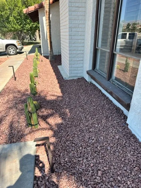 Trusted landscape installation in Indio, CA - Cobano Landscape & Irrigation