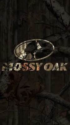 Cobb landscaping Logo