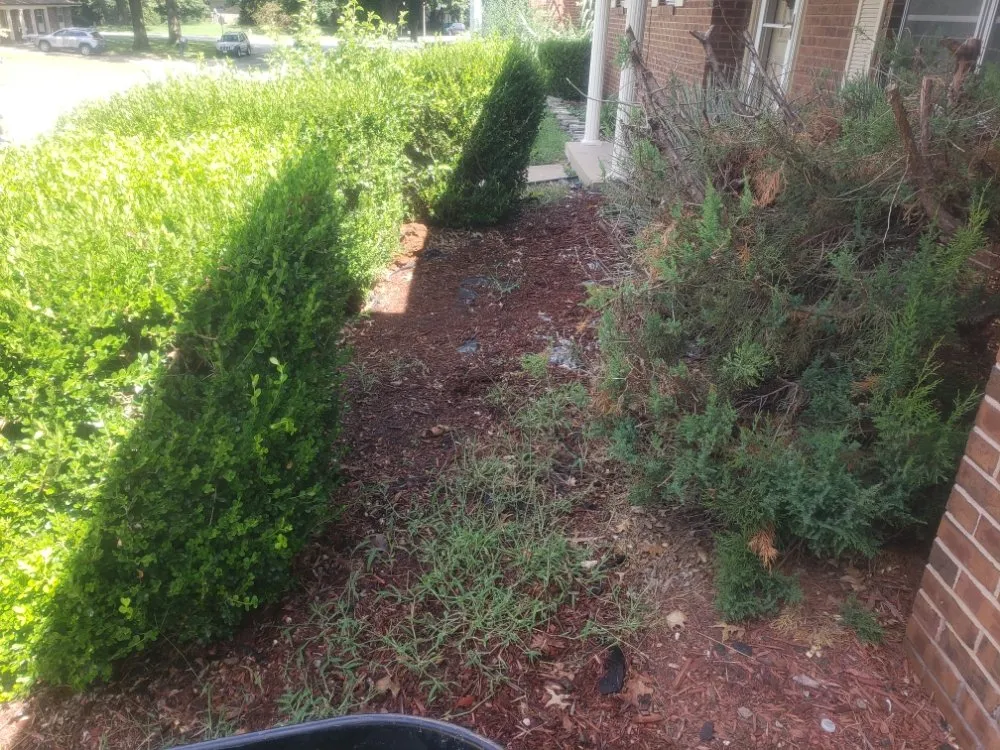 Affordable yard cleanup service in Saint Louis, MO - Cobb Lawn Care Services And More