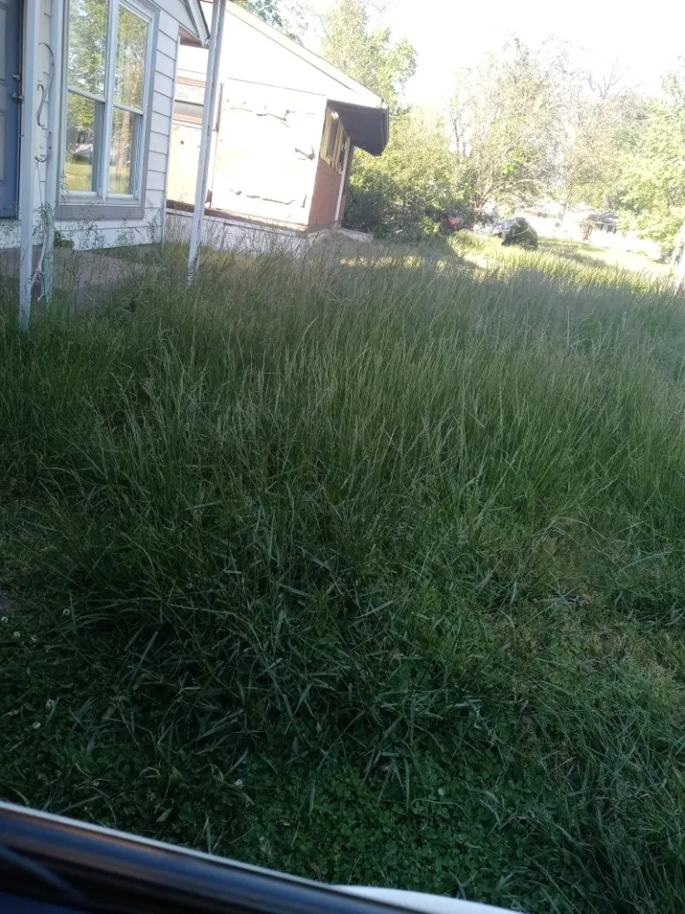 Top-rated landscaping services with custom design across Saint Louis, MO - Cobb Lawn Care Services And More