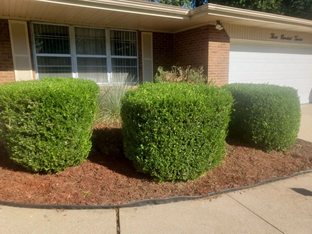 Expert lawn mowing service in Saint Louis, MO - Cobb Lawn Care Services And More