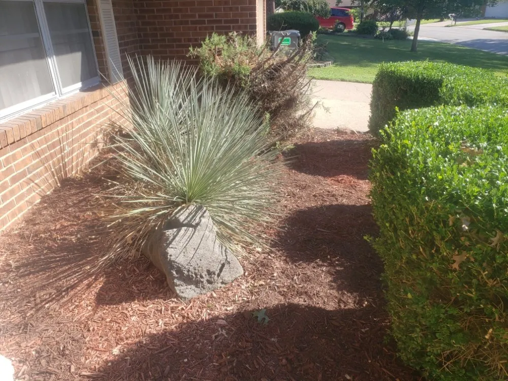 Local lawn care service experts serving Saint Louis, MO - Cobb Lawn Care Services And More
