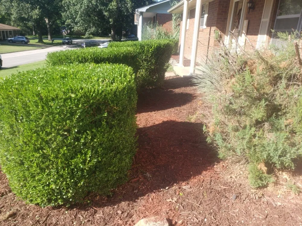 Custom lawn mowing service near you in Saint Louis, MO by Cobb Lawn Care Services And More