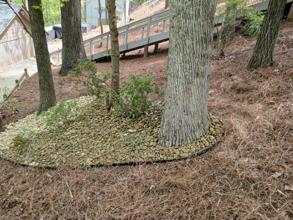 Expert outdoor landscaping in Seneca, SC - Cobb's Tree N Lawn