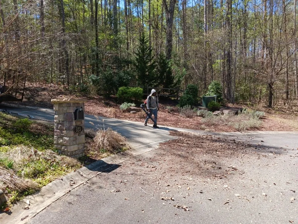 Reliable landscape design experts serving Seneca, SC - Cobb's Tree N Lawn