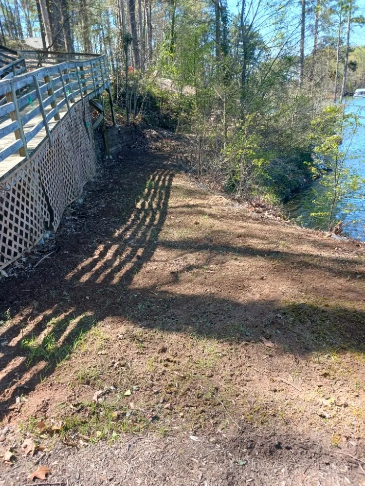 Trusted landscaping services in Seneca, SC by Cobb's Tree N Lawn