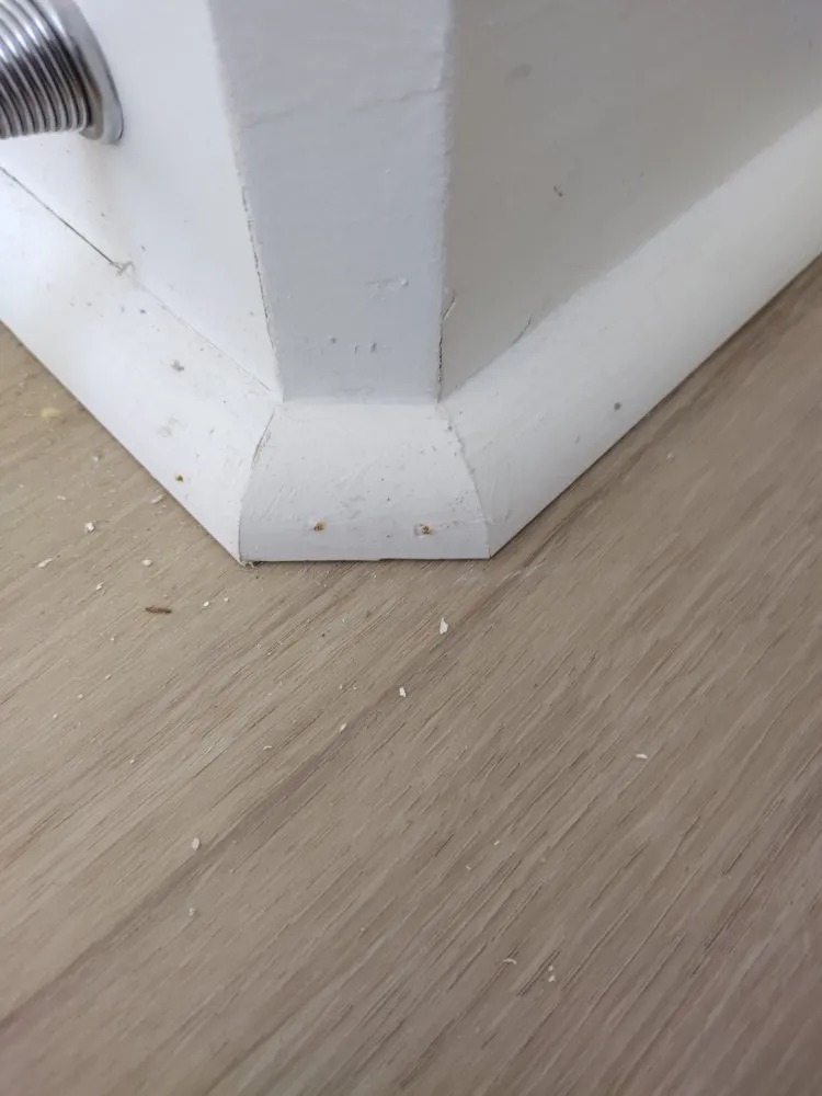 Local lawn care service for residential properties in Fontana, CA by Cobos Flooring and Electric