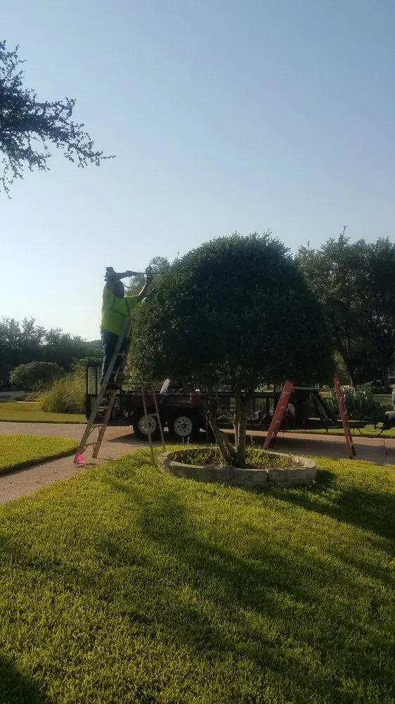 Reliable outdoor landscaping for residential properties in Austin, TX by Cobos Landscape Solutions