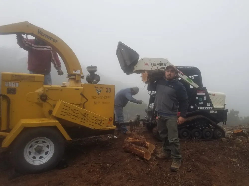 Professional lawn care service in Austin, TX - Cobos Landscape Solutions