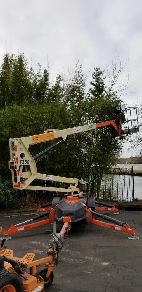 Custom landscape design for year-round maintenance in Austin, TX by Cobos Landscape Solutions