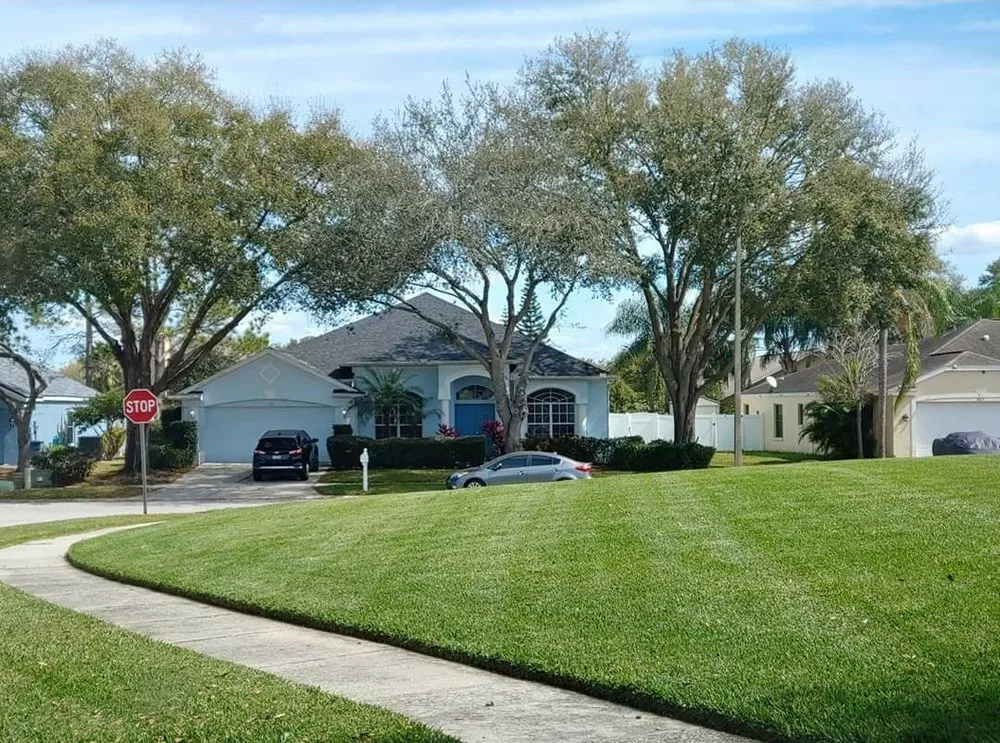 Trusted yard maintenance experts serving Austin, TX - Cobos Landscape Solutions