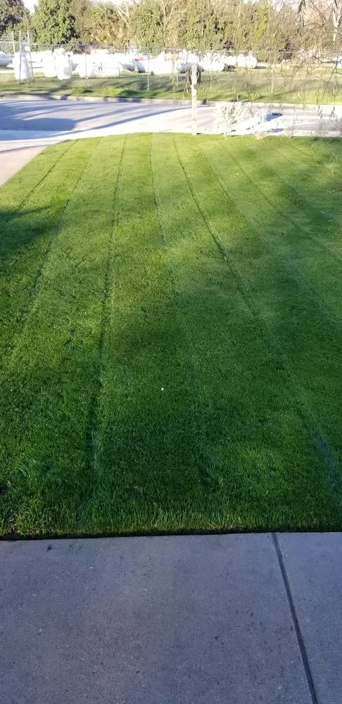 Reliable landscaping services experts serving Austin, TX - Cobos Landscape Solutions