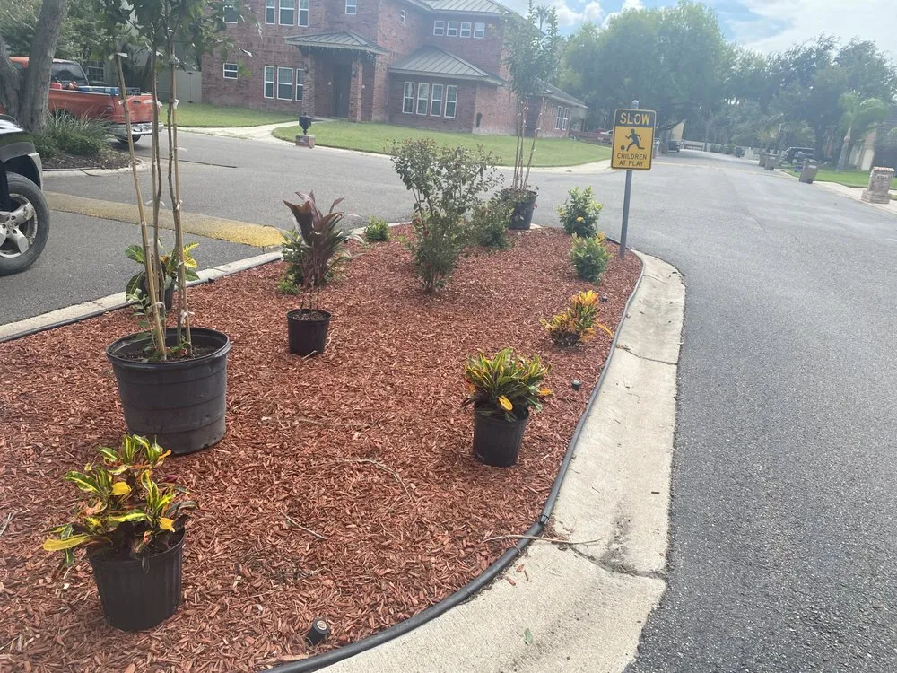 Top-rated landscaping services for outdoor upgrades across Palmhurst, TX - Cobos Landscaping