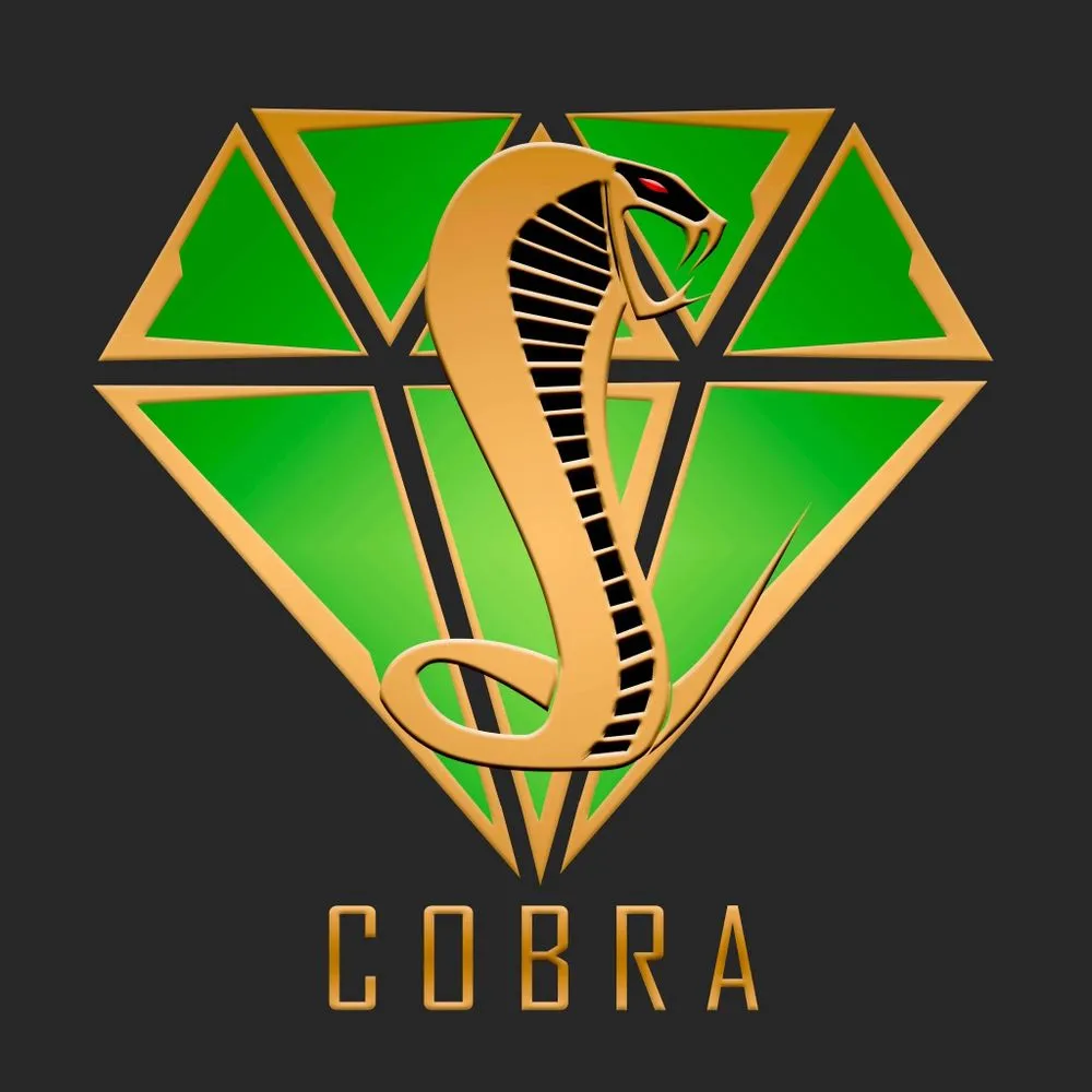 Custom yard maintenance in Dutton, VA by Cobra Contracting