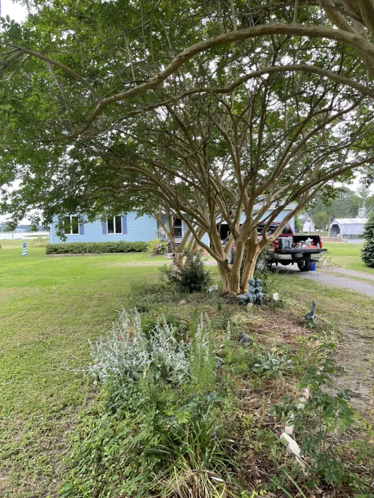 Affordable lawn care service in Dutton, VA - Cobra Contracting