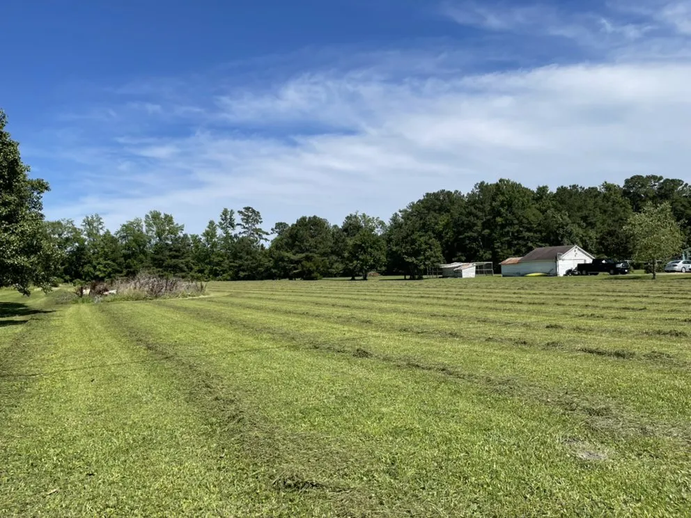 Top-rated garden landscaping for homes in Dutton, VA by Cobra Contracting