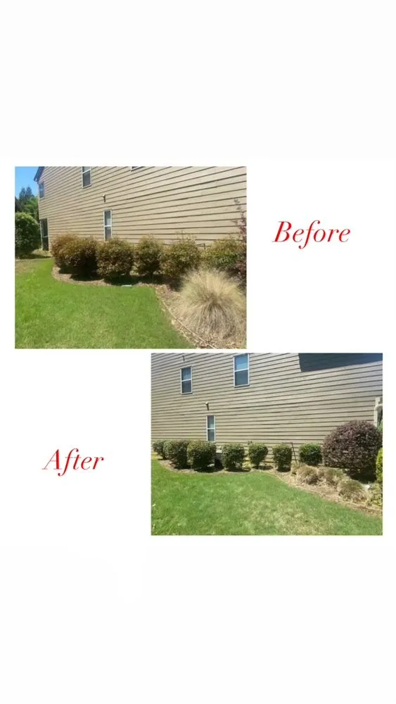 Professional lawn mowing service in Powder Springs, GA - Cobra Landscape