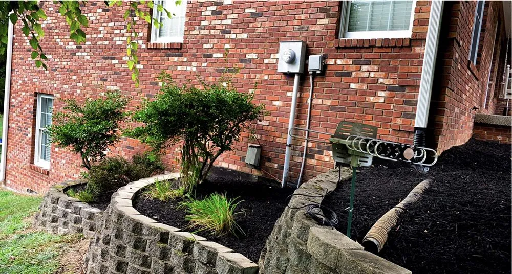 Top-rated lawn care service for year-round maintenance in Georgetown, IN by Cobra Lawns