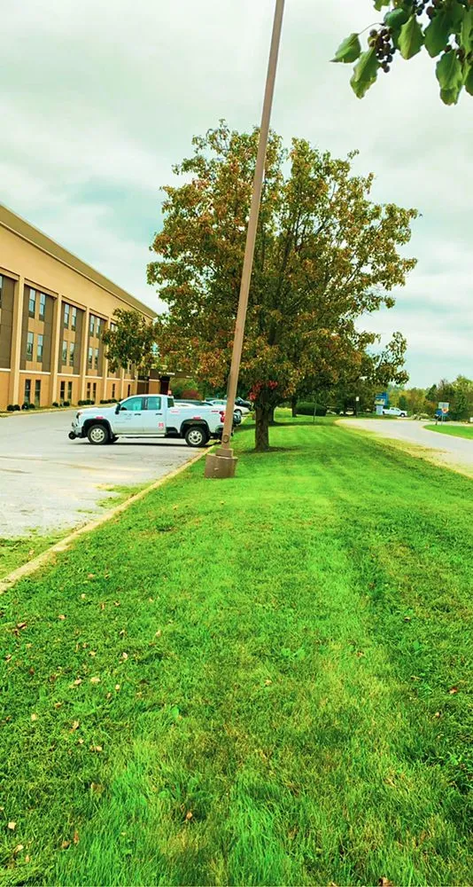 Expert outdoor landscaping experts serving Georgetown, IN - Cobra Lawns