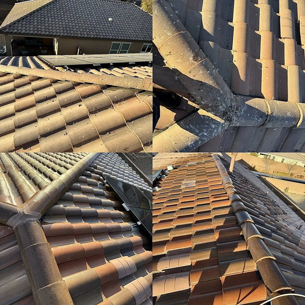 Custom landscape installation experts serving Las Vegas, NV - Cobra Property Services