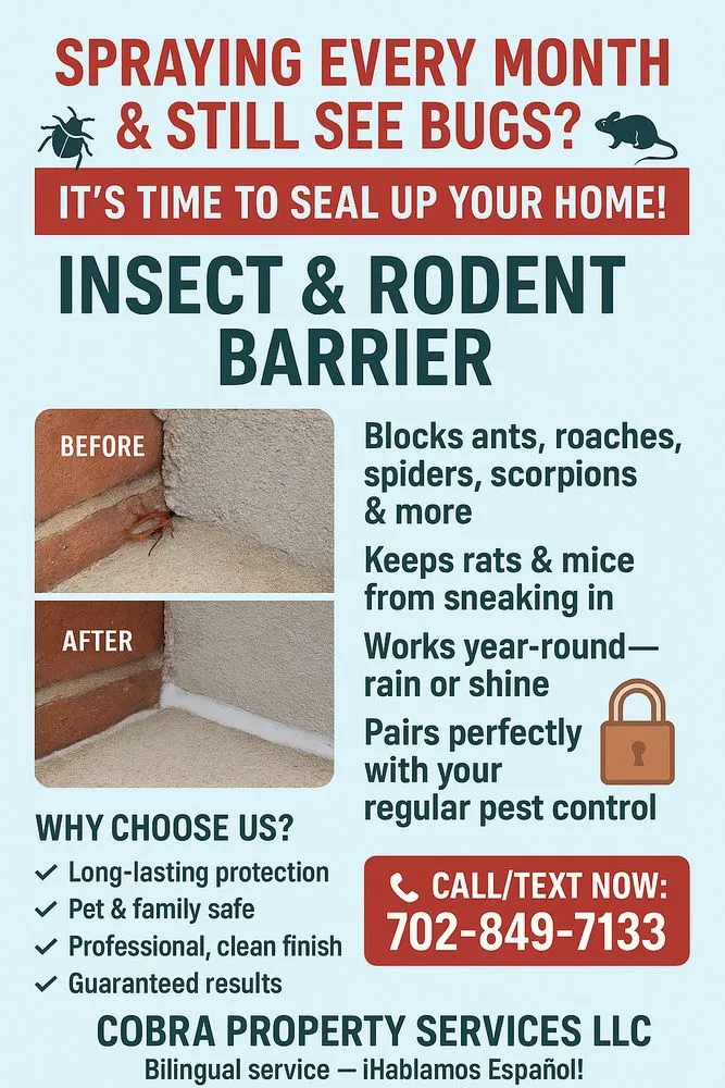 Affordable landscaping services for outdoor upgrades in Las Vegas, NV by Cobra Property Services