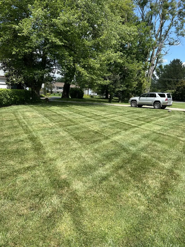 Expert yard cleanup service for beautiful yards in Fallston, MD by Coby Pools