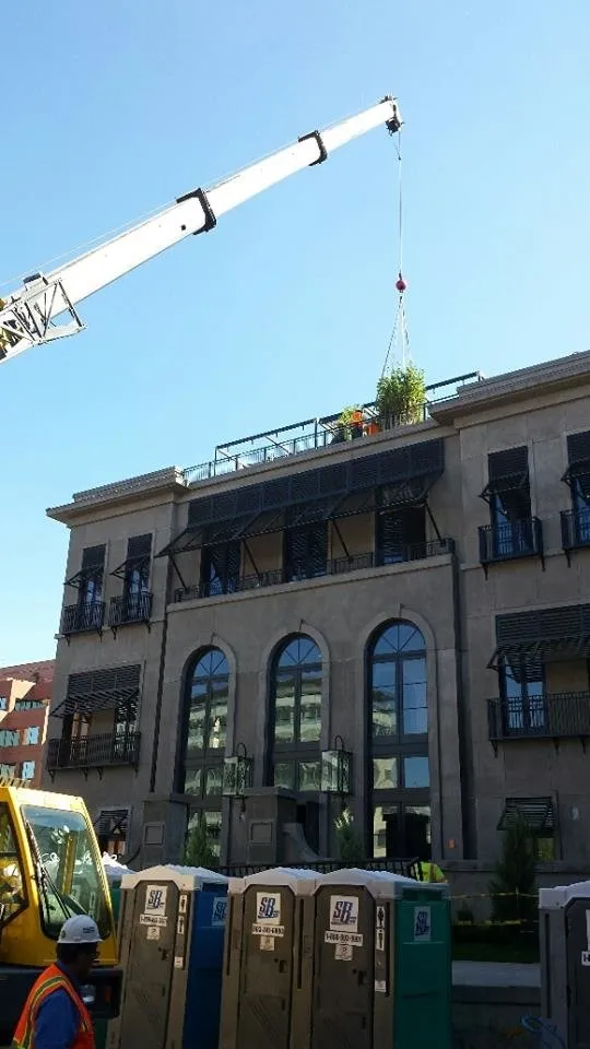 Custom outdoor landscaping in Denver, CO by CoCal Landscape