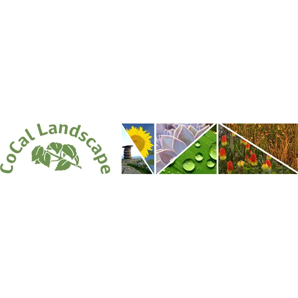 Trusted landscaping services for year-round maintenance across Denver, CO - CoCal Landscape