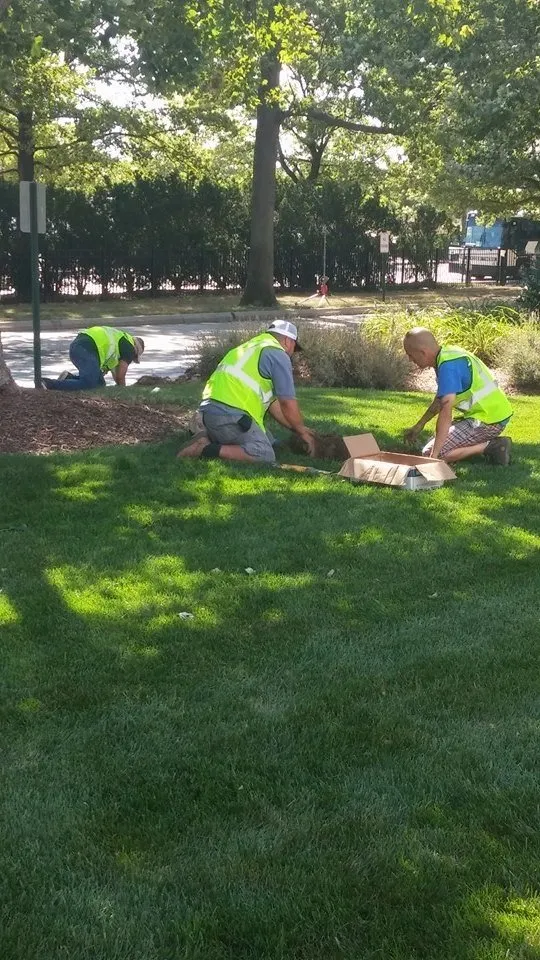 Expert landscaping services for year-round maintenance across Denver, CO - CoCal Landscape