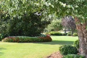 Affordable outdoor landscaping with custom design across Easley, SC - Cochran Landscape Management, Inc