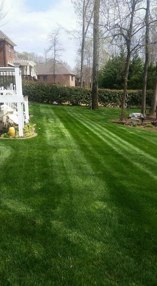 Affordable landscape design with custom design in Owens Cross Roads, AL by Cochran's Lawn Care